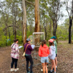 Deciphering Rhian Healy's Looking Back 025 Art in the Porongurup