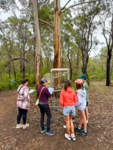 Deciphering Rhian Healy's Looking Back 025 Art in the Porongurup