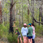 looking at Magali Oliver''sThreads of Confinement-2025 Art in the Porongurup