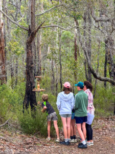 looking at Magali Oliver''sThreads of Confinement-2025 Art in the Porongurup