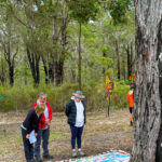 Looking at Parkland School's Harmony Tiles- 2025 Art in the Porongurup