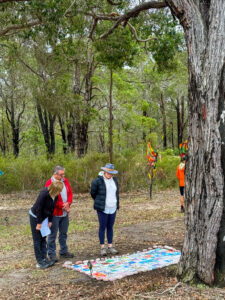 Looking at Parkland School's Harmony Tiles- 2025 Art in the Porongurup
