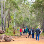 2025 Art in the Porongurup