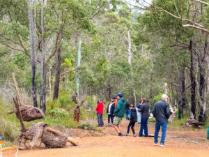 2025 Art in the Porongurup