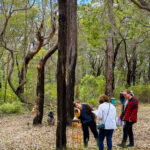 Inspecting the clockwork of Colin Hobbs AYEYE2025 Art in the Porongurup