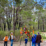 Walking around John Greeuw's Painted Sticks Two- 2025 Art in the Porongurup
