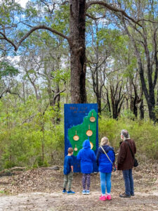 Examining Hunter Roberts-Johnston's Flash in the Pan- 2025 Art in the Porongurup