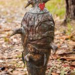 36 - Magpies and Magic - Nicci Daniele